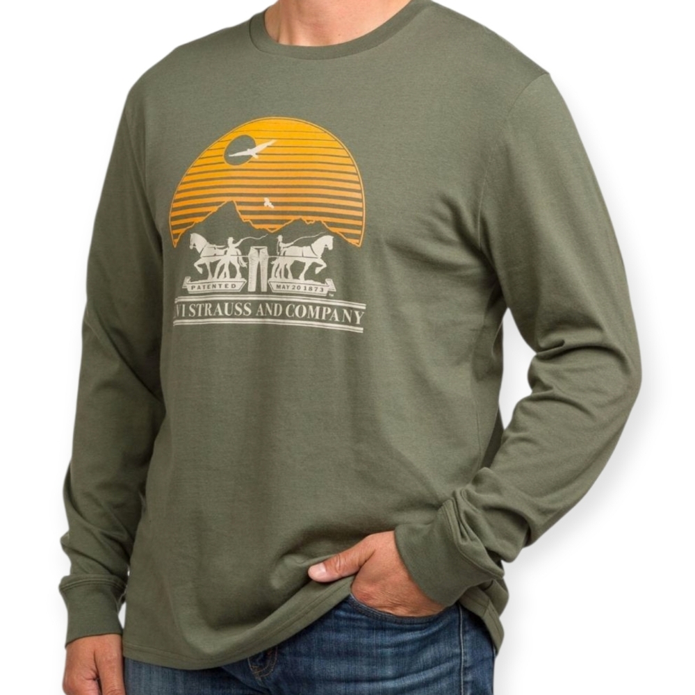 Levi's Men's Size Medium Shirt Classic Fit Long Sleeve Green Tee T Graphic Print